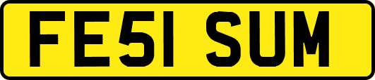 FE51SUM
