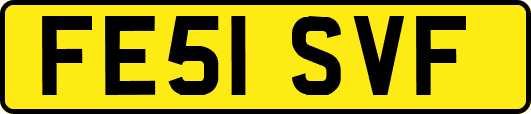 FE51SVF
