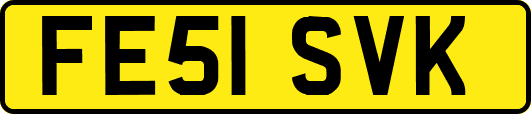 FE51SVK