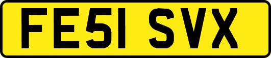 FE51SVX