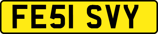 FE51SVY