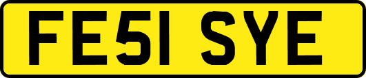 FE51SYE