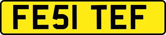 FE51TEF