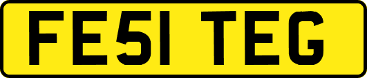 FE51TEG