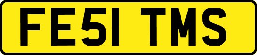 FE51TMS