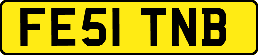 FE51TNB