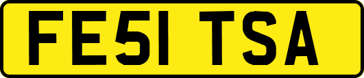 FE51TSA