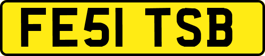 FE51TSB