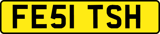FE51TSH