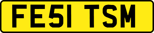 FE51TSM