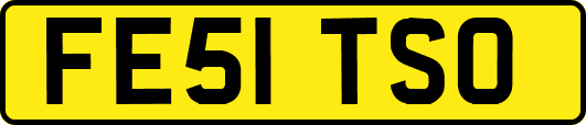 FE51TSO
