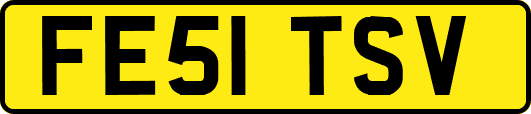 FE51TSV