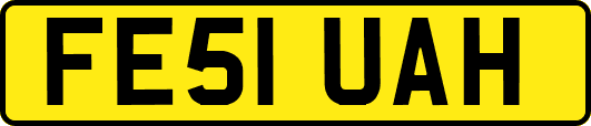 FE51UAH
