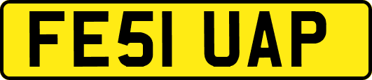 FE51UAP