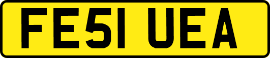 FE51UEA