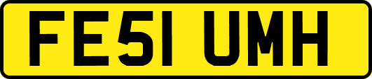 FE51UMH