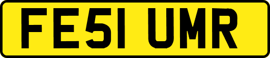 FE51UMR