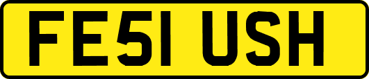 FE51USH