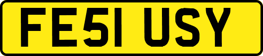 FE51USY