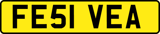 FE51VEA