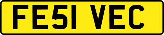 FE51VEC