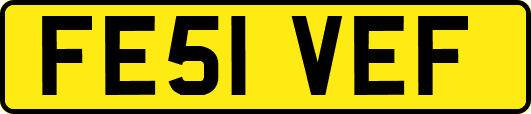 FE51VEF