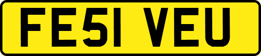 FE51VEU