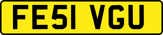 FE51VGU