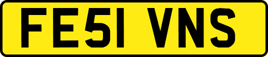 FE51VNS