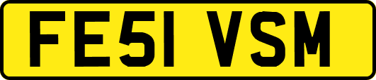 FE51VSM