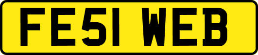 FE51WEB