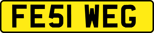 FE51WEG