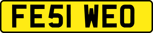 FE51WEO