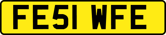 FE51WFE