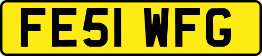 FE51WFG
