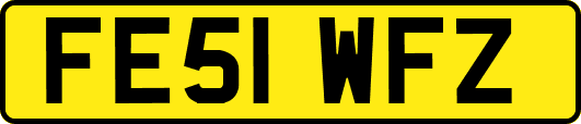 FE51WFZ
