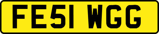 FE51WGG