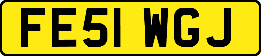 FE51WGJ
