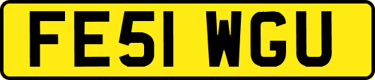 FE51WGU