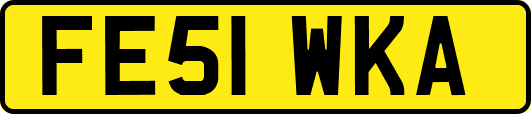 FE51WKA
