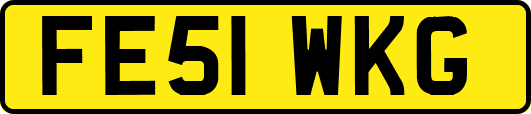 FE51WKG