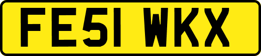 FE51WKX