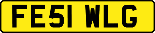 FE51WLG