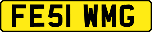 FE51WMG