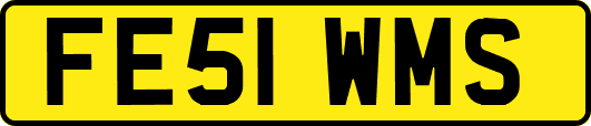 FE51WMS