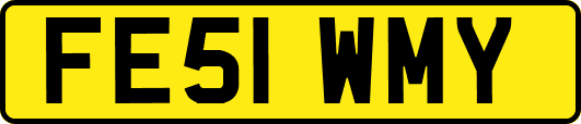 FE51WMY