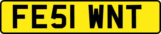 FE51WNT