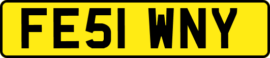 FE51WNY