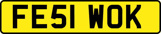 FE51WOK