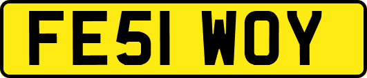 FE51WOY